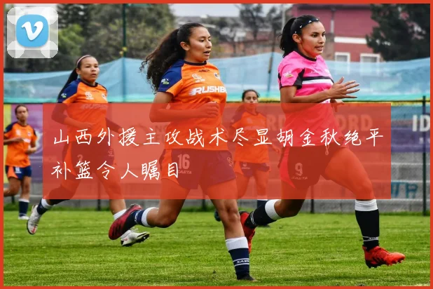 山西外援主攻战术尽显胡金秋绝平补篮令人瞩目